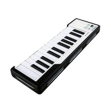 Arturia Microlab USB/Midi Controller keyboard