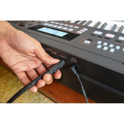 Roland E-X50 Arranger Keyboard