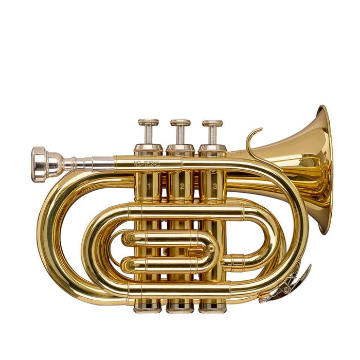 Stagg Bb Pocket Trumpet, Ml-Bore, Brass Body Material