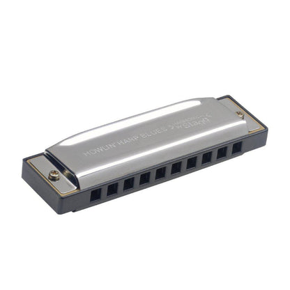 Stagg Blues Harmonica D 